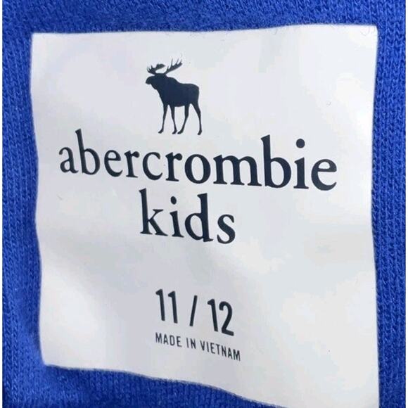 Abercrombie & Fitch, Active Logo Kids/ Boys Pullover Hoodie Size 11/12 - Picture 3 of 6